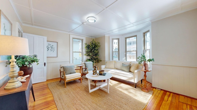 living room with a wealth of natural light and light hardwood / wood-style flooring