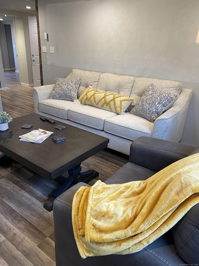 living room featuring dark wood-type flooring