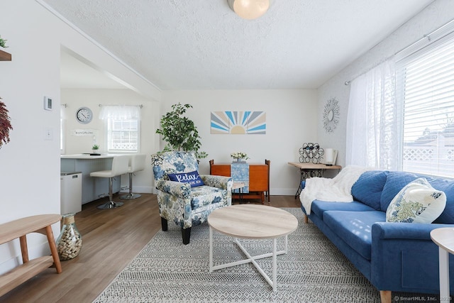 living room featuring a textured ceiling and wood-type flooring