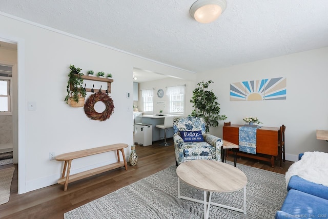 living room with dark hardwood / wood-style flooring and a textured ceiling