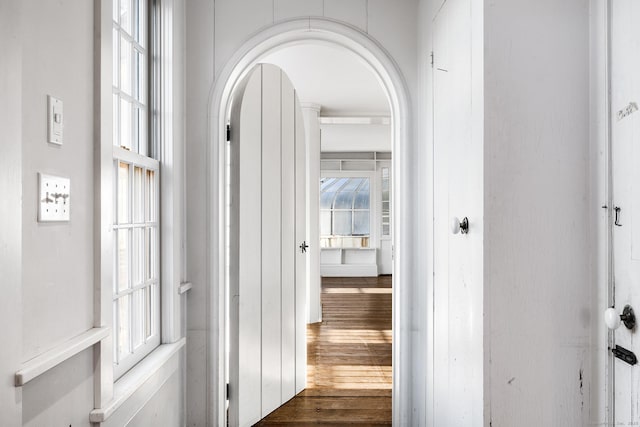 corridor featuring dark hardwood / wood-style floors and a wealth of natural light