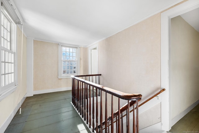 corridor featuring dark hardwood / wood-style flooring and crown molding