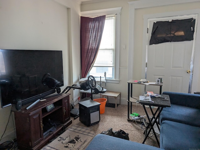 carpeted living room featuring plenty of natural light