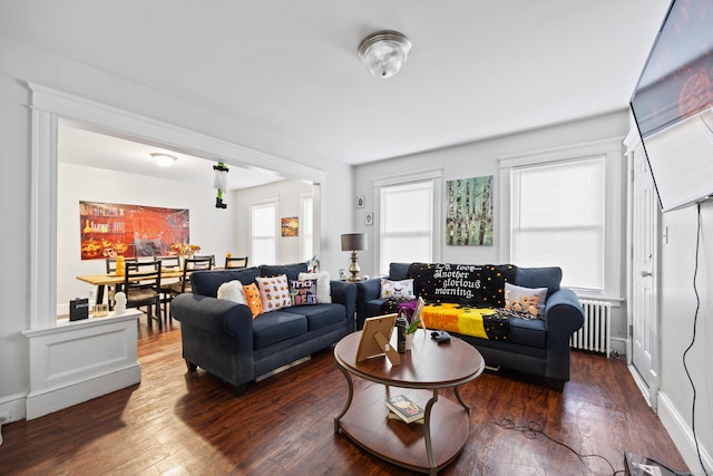 living room with dark wood-style flooring and radiator heating unit