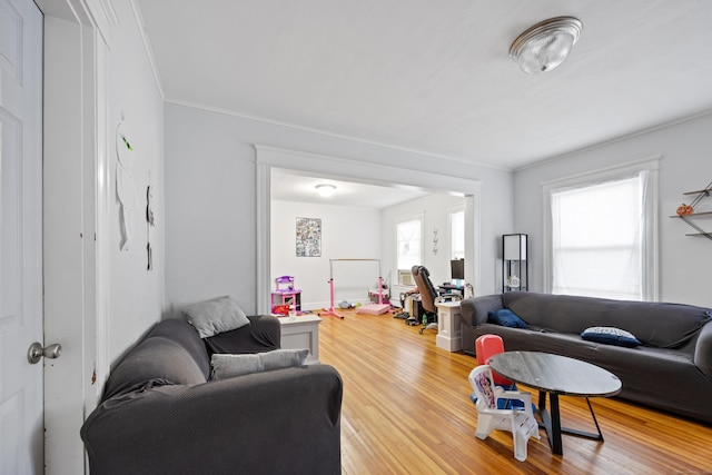 living area with wood finished floors and crown molding