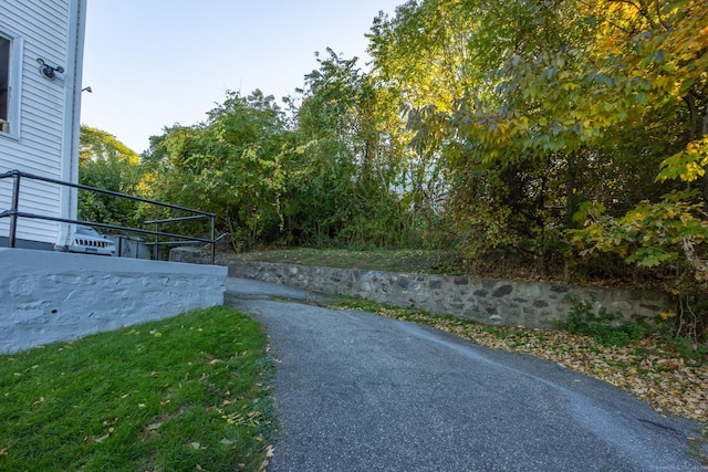 view of road with aphalt driveway