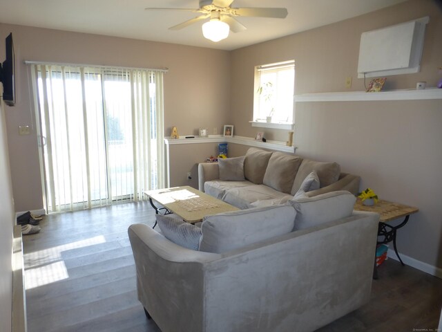 living room featuring ceiling fan and dark hardwood / wood-style flooring