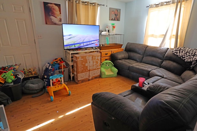 living room featuring hardwood / wood-style floors