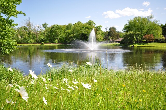 view of water feature