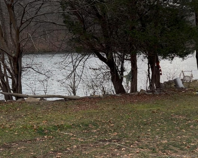 view of water feature