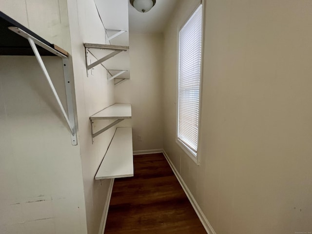 walk in closet with dark wood-type flooring