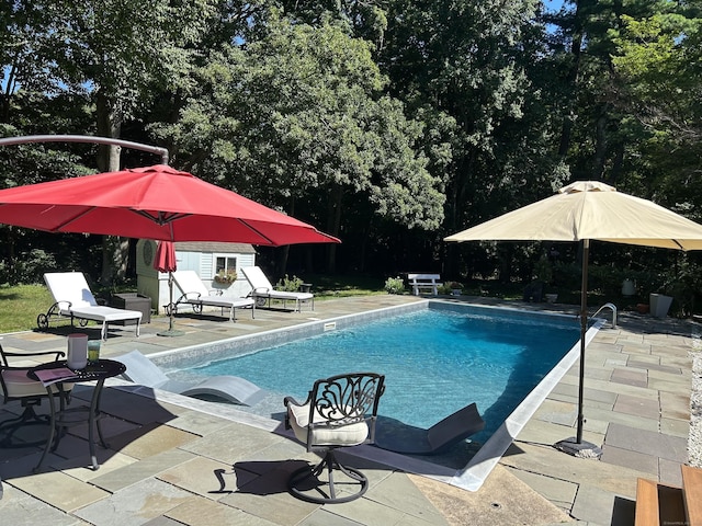 view of pool with a patio area and a shed