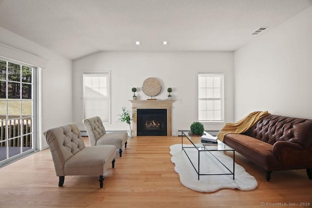 living room featuring baseboard heating, light hardwood / wood-style floors, and a wealth of natural light