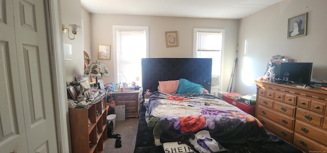 bedroom with a closet, multiple windows, and carpet flooring