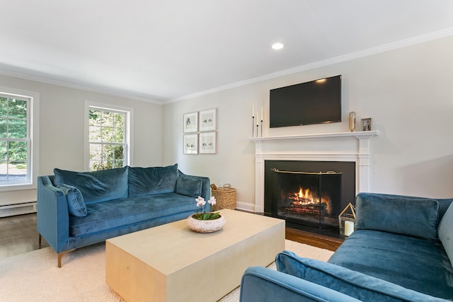 living room featuring ornamental molding, a baseboard radiator, and wood-type flooring