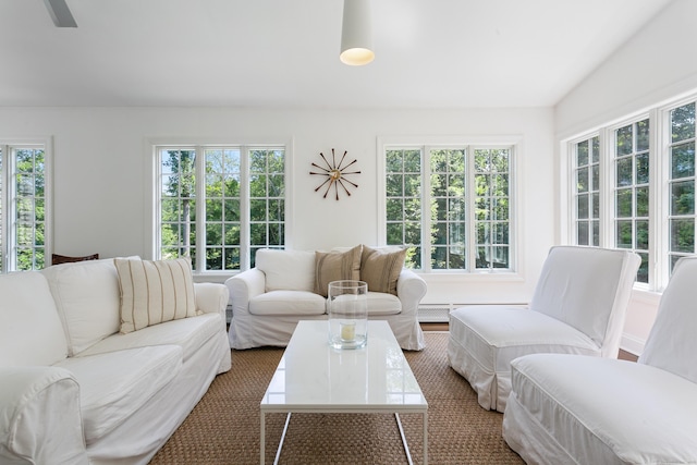 living room featuring a healthy amount of sunlight