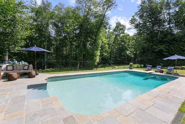 view of swimming pool featuring a patio and outdoor lounge area