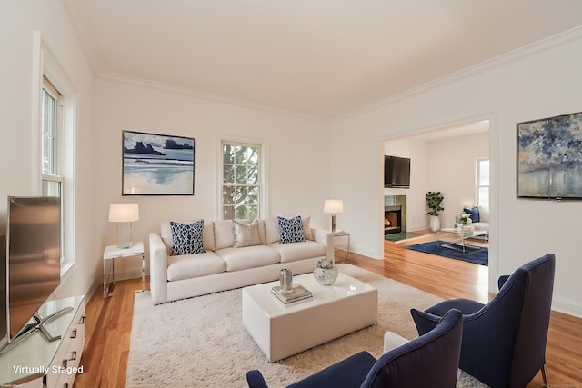 living room featuring a premium fireplace, wood-type flooring, and crown molding