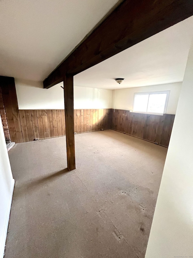 basement with wooden walls