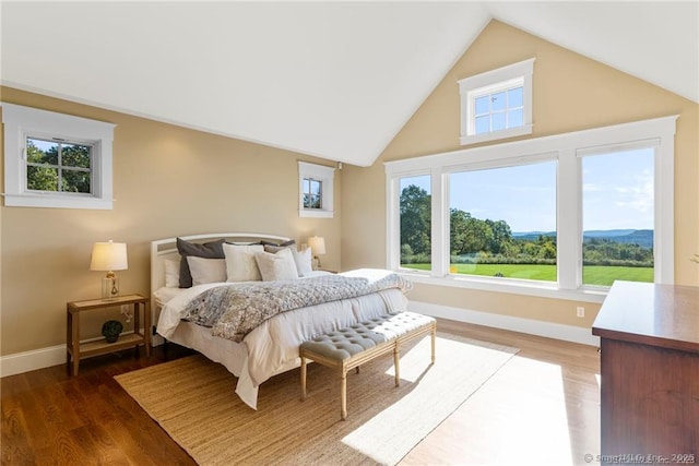 bedroom featuring lofted ceiling and dark hardwood / wood-style flooring