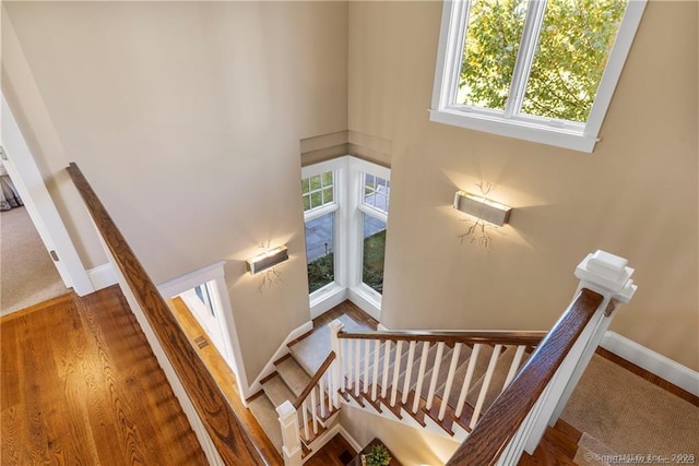 staircase featuring wood-type flooring