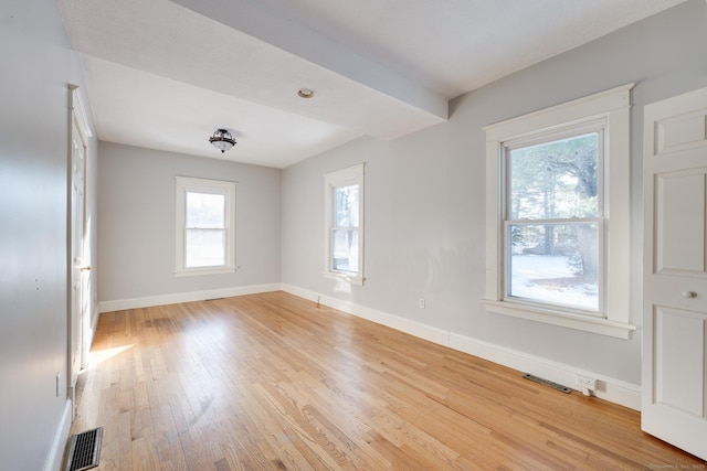 spare room featuring a healthy amount of sunlight and light wood-type flooring