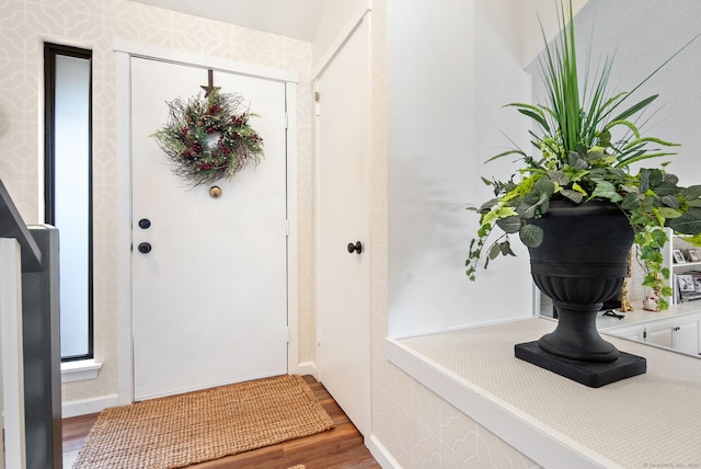 entrance foyer with hardwood / wood-style flooring