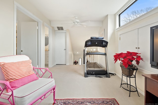 exercise area featuring ceiling fan and light carpet