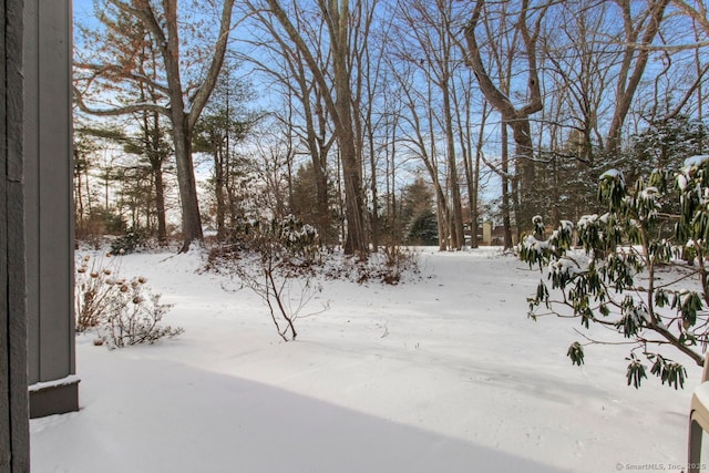 view of yard covered in snow