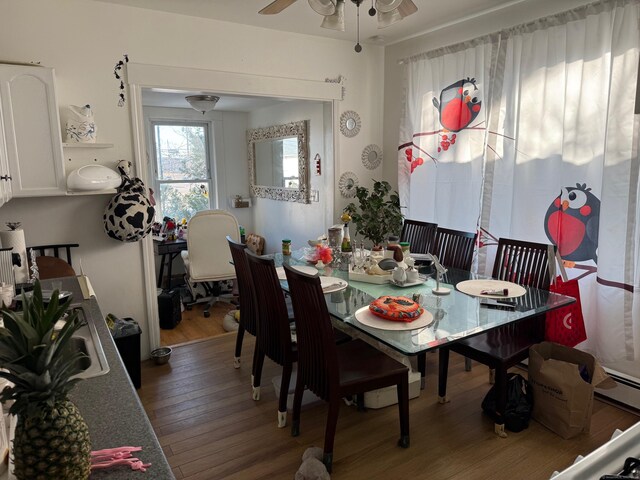 dining room featuring ceiling fan and hardwood / wood-style floors