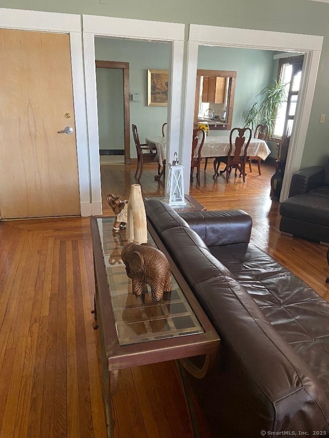 living room with wood-type flooring