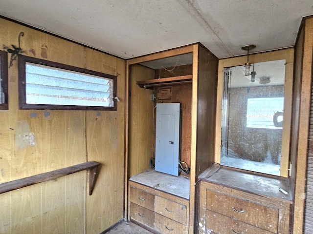 interior space featuring electric panel and wooden walls