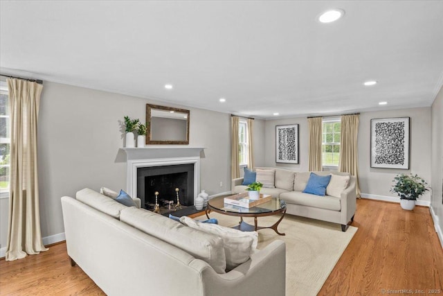 living room featuring crown molding and light hardwood / wood-style flooring