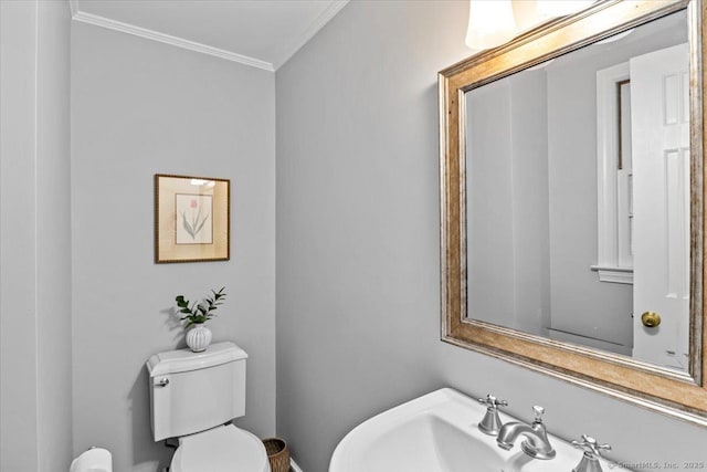 bathroom featuring toilet, crown molding, and sink