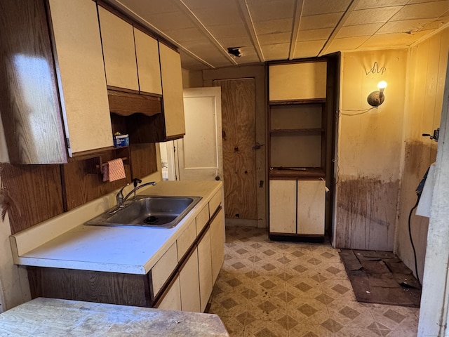 kitchen with sink and wood walls