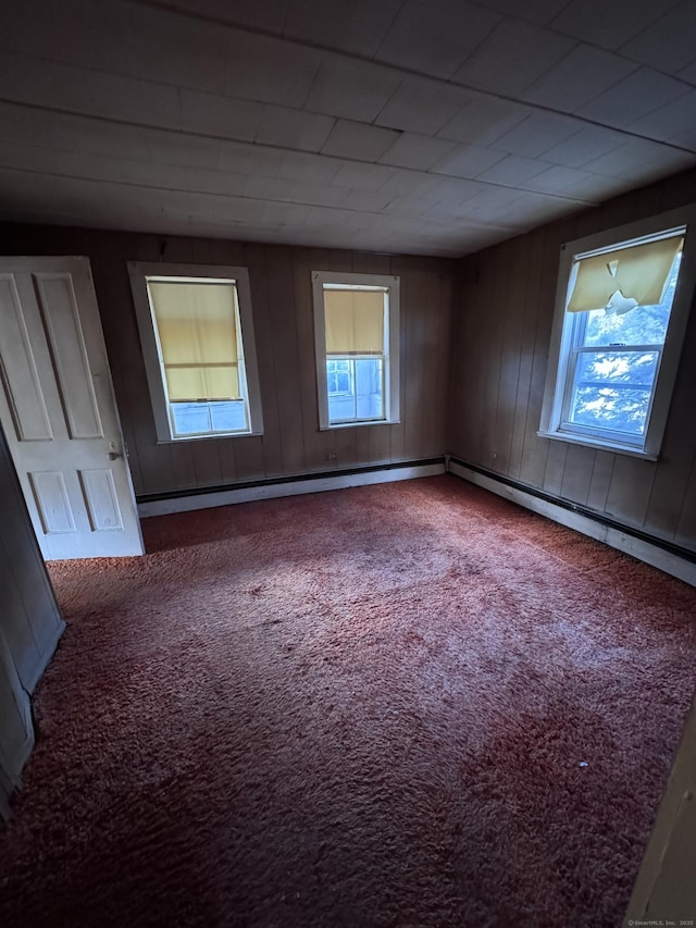 spare room featuring wood walls and carpet flooring