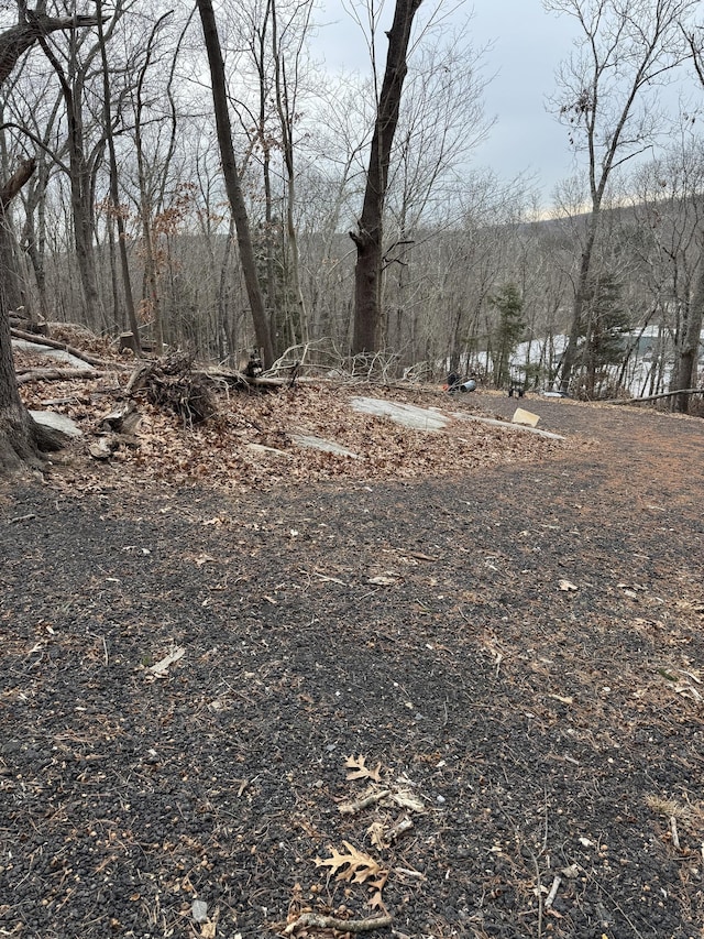 Castle Hts, Deep River CT, 06417 land for sale