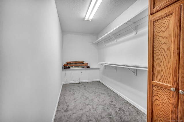 walk in closet featuring carpet flooring