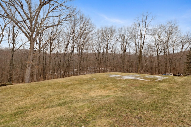 view of yard with a view of trees