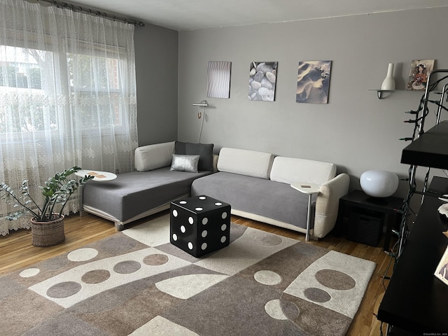 living room with wood-type flooring