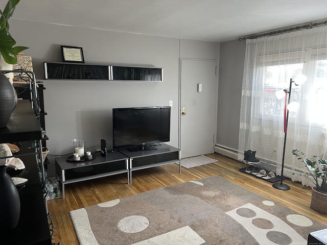 living room featuring wood-type flooring