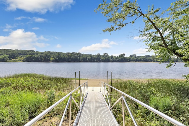 water view featuring a dock