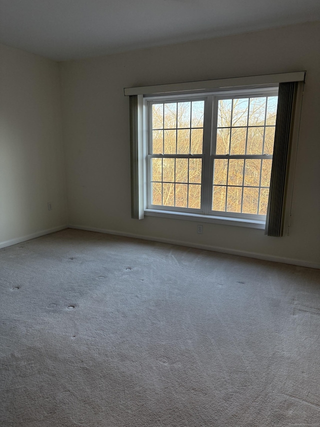 unfurnished room with carpet flooring