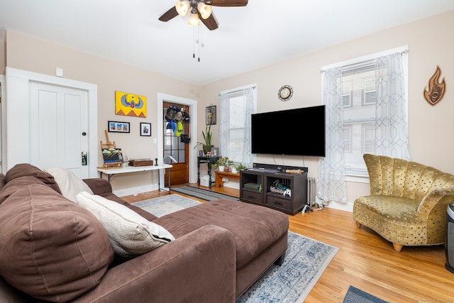 living room with ceiling fan and wood-type flooring