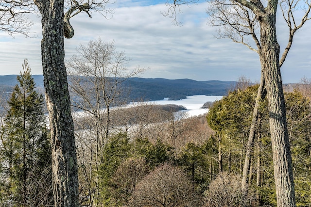 property view of mountains featuring a water view