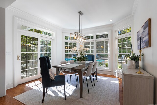 dining space with hardwood / wood-style floors, crown molding, and a chandelier