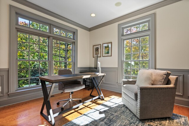 office space with hardwood / wood-style flooring and crown molding