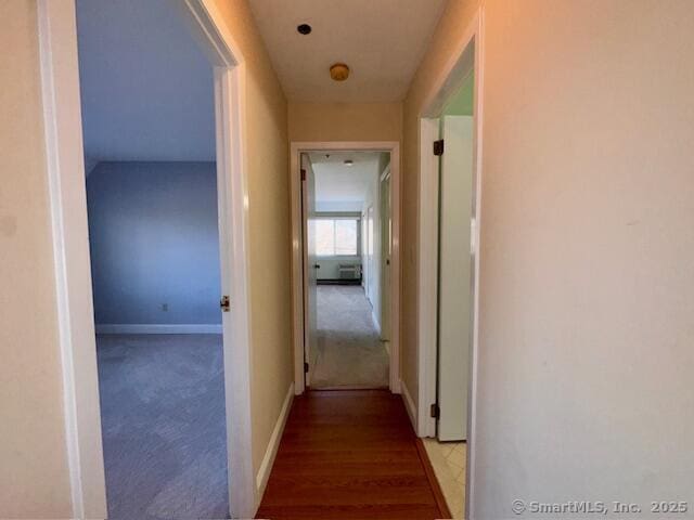 hall featuring hardwood / wood-style floors