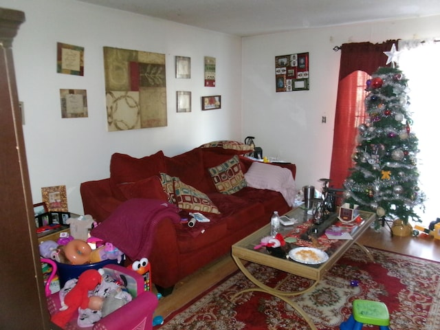 living room with wood-type flooring