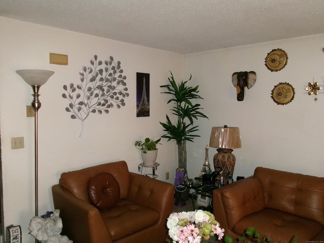 living room featuring a textured ceiling